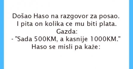 VIC: Haso na razgovoru za posao