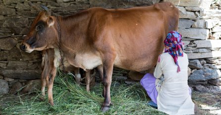 "Udala sam se na selo, moja mama me molila da ne idem.."