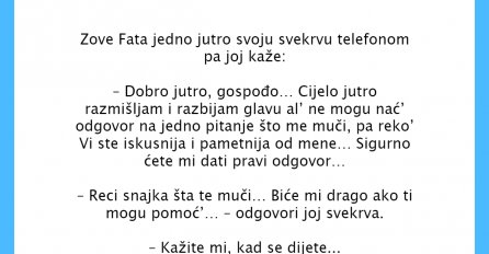 VIC DANA: Zove Fata jedno jutro svoju svekrvu telefonom
