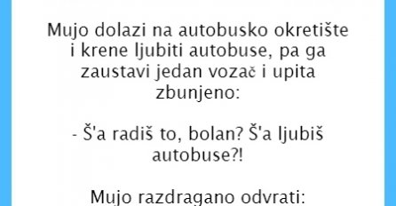 VIC DANA: Mujo ljubi autobus