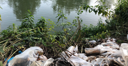 Ovo je nečuveno! Užas! Prijeti zaraza: 3,5 TONE UCRVANOG KURBANSKOG MESA BAČENO KOD ŽEPČA!