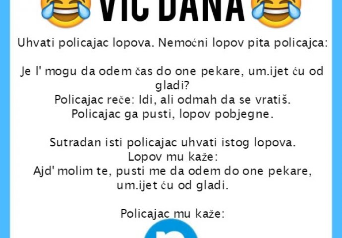 VIC: Lopov i policajac