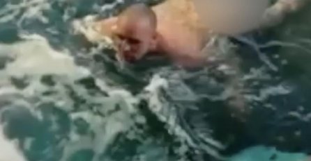 MUŠKARAC POTPUNO GOL ŠKOČIO U BAZEN SA MORSKIM PSIMA: A onda je uslijedio HOROR, pogledajte šta mu se desilo! (VIDEO)