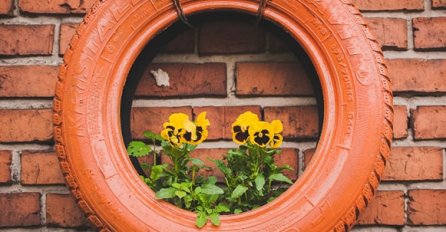 ŽENE OBOŽAVAJU OVE NAČINE: 7 najboljih ideja za ORIGINALNE "SAKSIJE" za cvijeće! Savršeno za UNIKATAN POKLON i UREĐENJE!