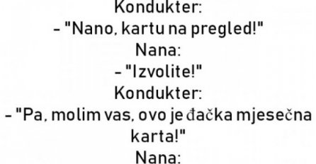 VIC DANA: Nana u autobusu