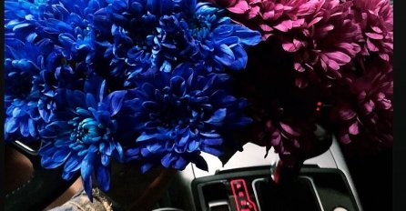 KIJA KOCKAR SE POHVALILA POKLONOM KOJI JE DOBILA OD UDVARAČA:Da li je on osvojio njeno SRCE?!