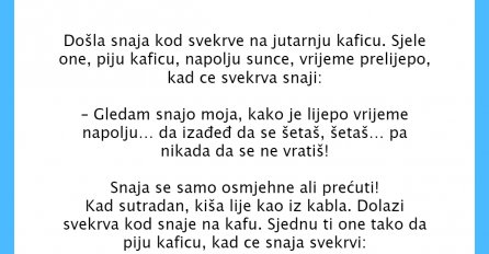 VIC DANA: Došla snaja kod svekrve na jutarnju kaficu