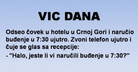 VIC: Vrhunska usluga