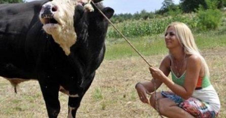 "Došla mlada snaha na selo i svekrva joj kaže: “Snaha u pet će ustaneš..."