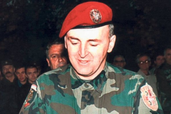 75566-zeljko-raznatovic01-profimedia-profimedia-f