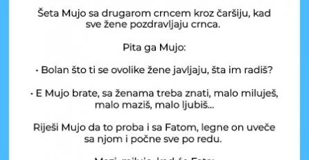 Šeta Mujo sa drugarom crncem kroz čaršiju, kad sve žene pozdravljaju