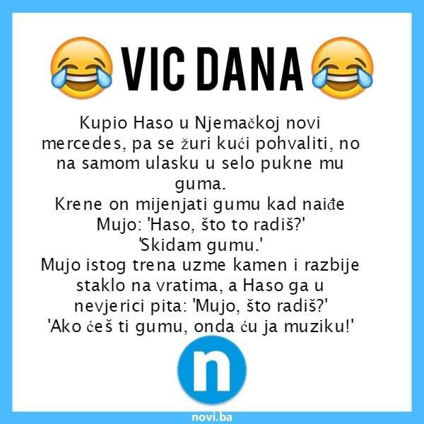 71783887-2432516313637079-571423584593903616-n