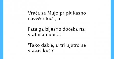 VIC DANA: Mujo kasni kući