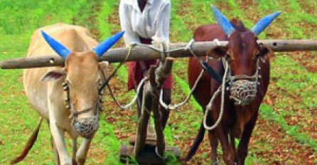 POUČNA PRIČA: Možda jeste, možda nije