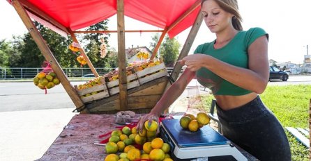 OTIŠLI SU NA ŠTAND KRISTINE MANDARINE, POTPUNO SE PROMIJENILA: Prodaje jagode, a jedan detalj SVIMA PARA OČI