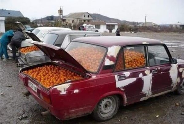 71765482-2293454510945385-7760148289097302016-n