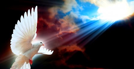 POUČNA PRIČA: Ispuni svoj život svjetlom