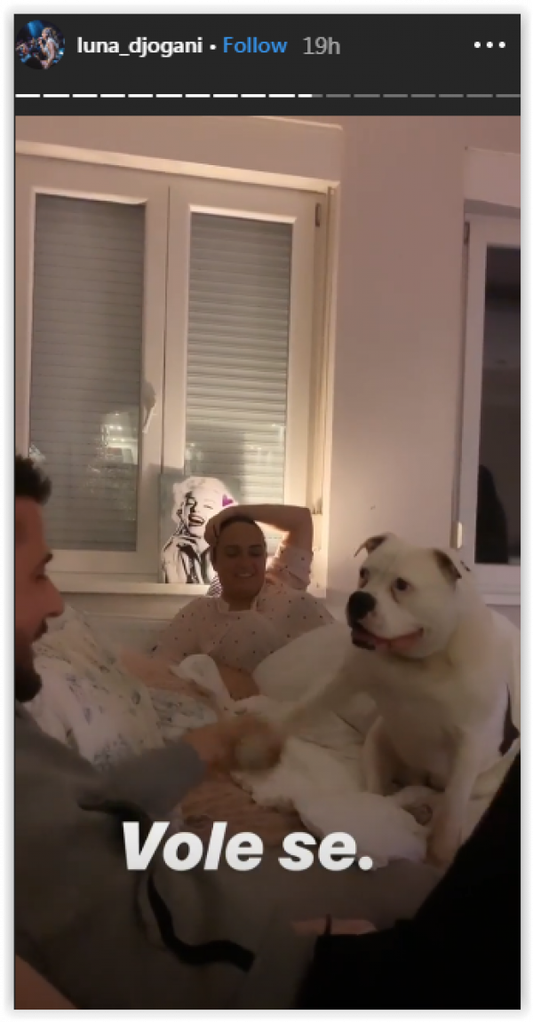 screen-shot-10-07-19-at-06-23-pm