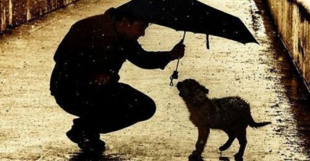 4 najveće dobrice horoskopa: Njihova dobrota i nesebičnost čine svijet boljim mjestom