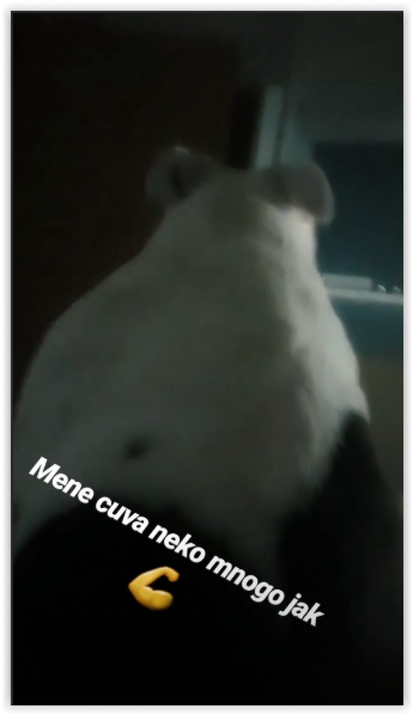 screen-shot-10-08-19-at-10-23-am