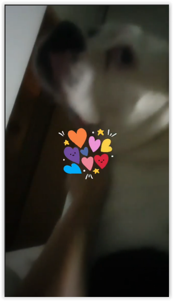 screen-shot-10-08-19-at-10-24-am