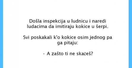 VIC DANA: Inspekcija u ludnici