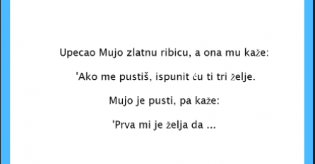 VID DANA: Upecao Mujo zlatnu ribicu