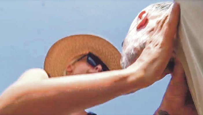 2013197-1603-news1-vladimir-sporcic-ff