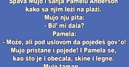 VIC DANA: Mujo sanja Pamelu Anderson