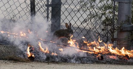 VATRA OPKOLILA GRAD, PROGLAŠENO VANREDNO STANJE, IMA MRTVIH: Evakuisano 100.000 ljudi, vatrogasci su nemoćni!
