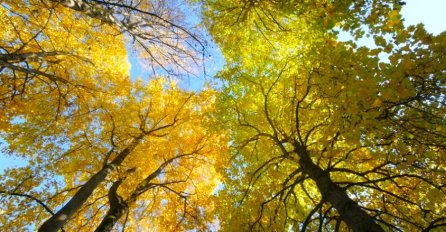 PRIPREMITE SE NA VRIJEME Evo kakvo vrijeme nas očekuje do kraja ovog mjeseca