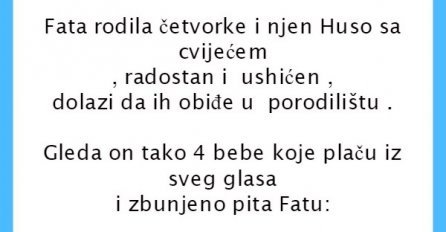 VIC: Rodila Fata četvorke, ali Husi nešto tu nije jasno
