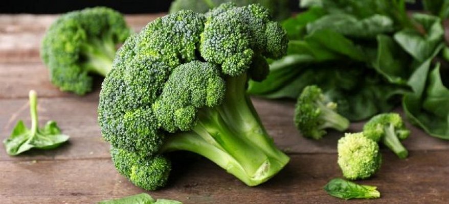 povrce-brokoli5