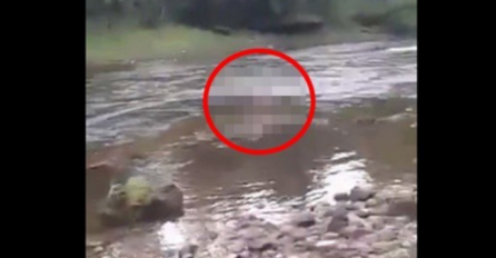 UŽAS U RIJECI VRBAS: Vidio da se nešto miče u vodi, a kada je prišao zatekao prizor koji nikada neće zaboraviti