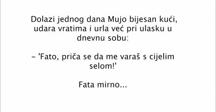 VIC DANA: Dolazi Mujo bijesan kući