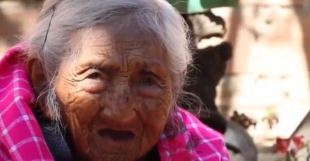 RUSKA TRAVARKA TVRDI:  KORIJEN ove biljke može da IZLIJEČI najtežu BOLEST, ubija ćelije RAKA za 48 SATI!