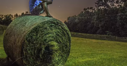 NAJEŽIT ĆETE SE! Pogledajte priču  o bratskoj ljubavi! Na mjestu gdje su se sreli podignut je hram, evo zbog čega!