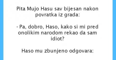 VIC: Mujo tražio objašnjenje, a Hasin URNEBESAN ODGOVOR ga je bacio u očaj