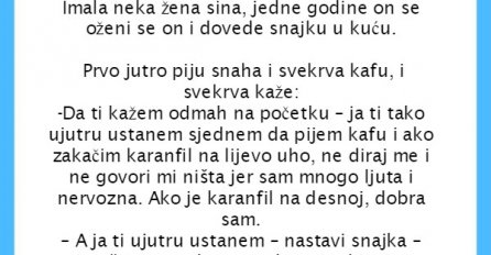 VIC: Snajka i rakija