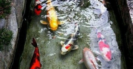 JAPAN je za nas DRUGA PLANETA, iznenadit ćete se kada vidite KAKO LJUDI TAMO ŽIVE: Tek da vidite ovu čistoću, mrzit ćete što ste se rodili ovdje