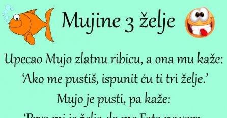 VIC: Mujine tri želje