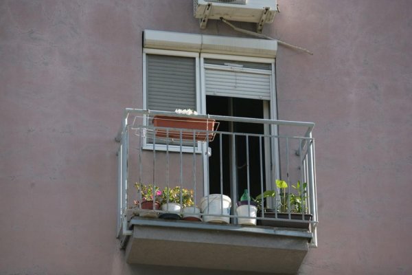 2030407-whatsapp-image-20191024-at-11-49-59-ff