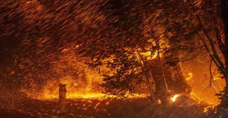 Zbog požara u Kaliforniji evakuirano 2.000 ljudi, 200.000 domova je bez struje