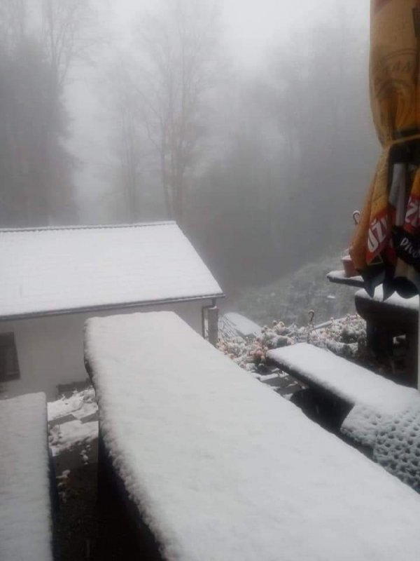 fb-img-1572508414094