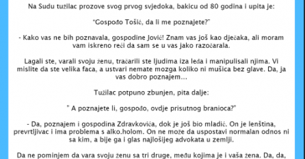 VIC DANA: Bakica na sudu
