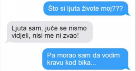 CHAT DANA: Cura je malo ljuta..