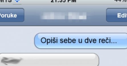 PITALA GA JE DA SE OPIŠE U SAMO DVIJE RIJEČI, a on napisao jedno i nastao URNEBES: OVO JE HIT!