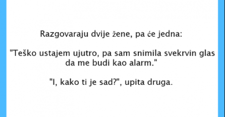 VIC DANA: Kad svekrva budi snahu 