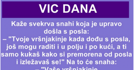 VIC DANA: KAŽE SVEKRVA SNAHI KOJA JE UPRAVO DOŠLA S POSLA… 