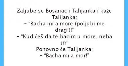 VIC DANA: Bosanac i poljubac